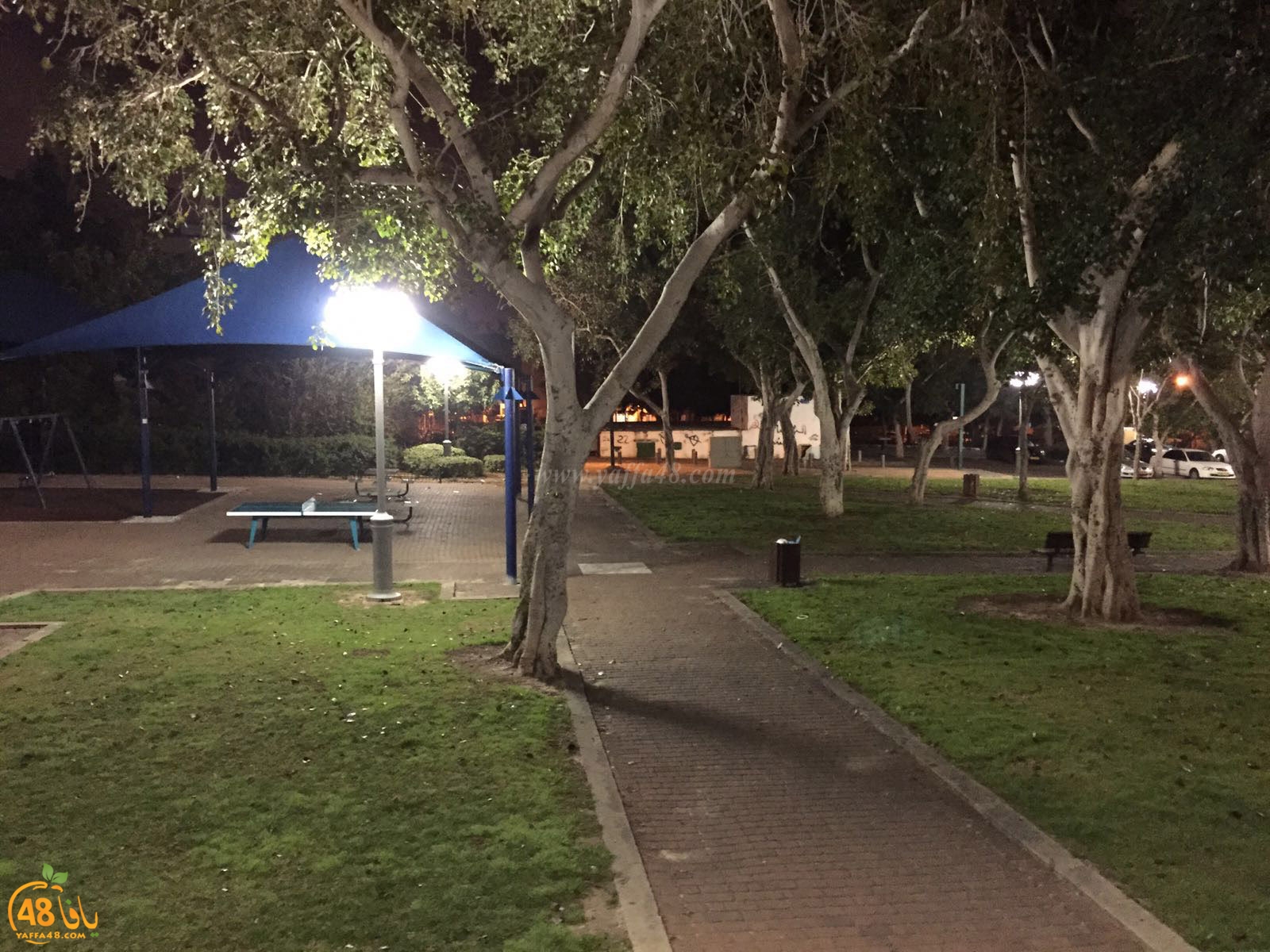 inara baladiya (2).jpg